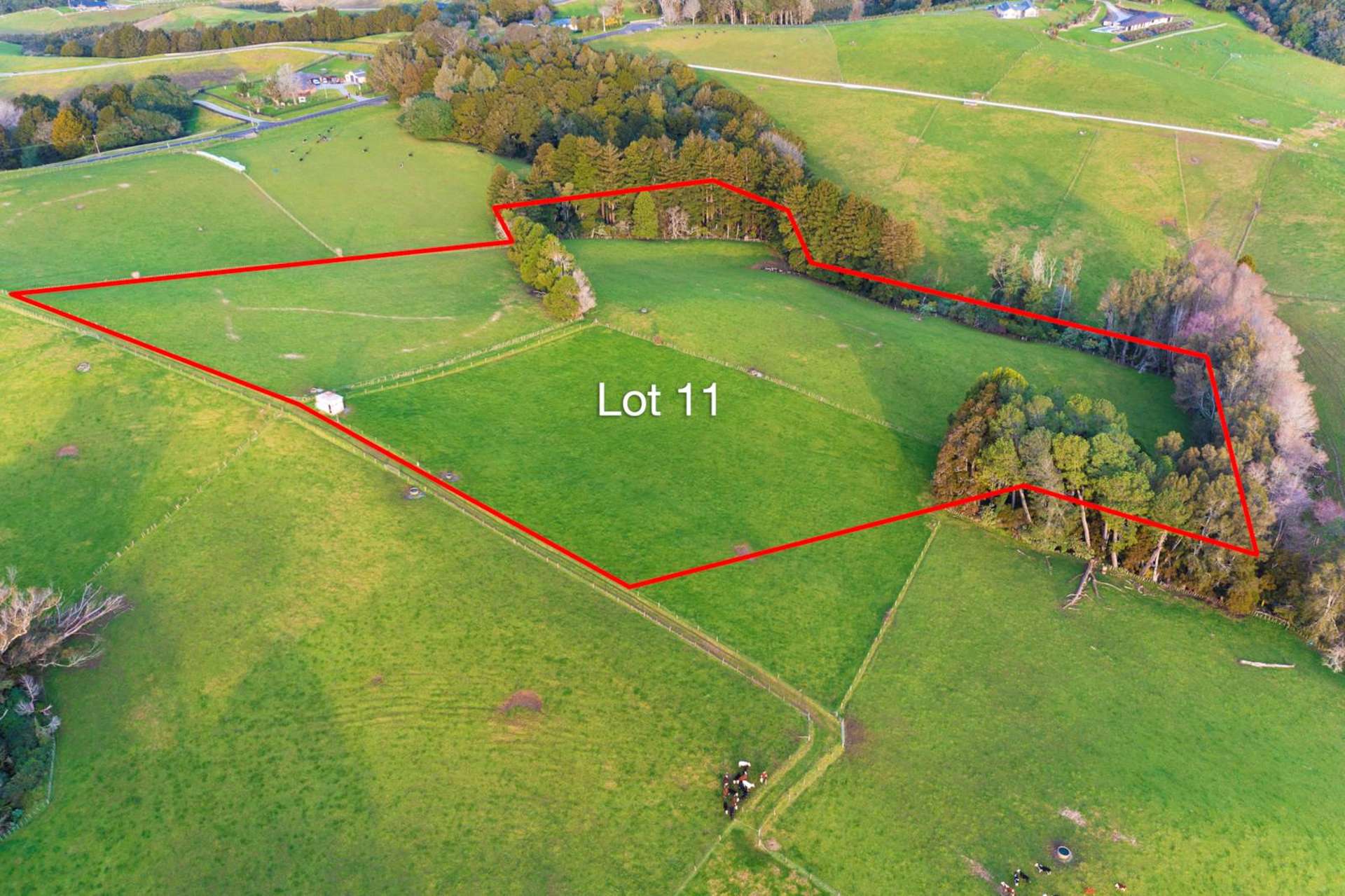 Lot 11/50 Bush Road Pukekohe_0