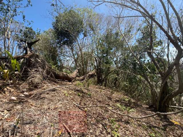 Address withheld Savusavu_2
