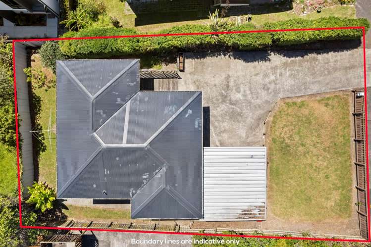 19 Layard Street Avondale_6