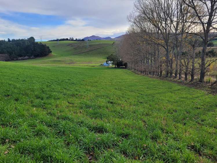 2 Danseys Pass Road Livingstone_12