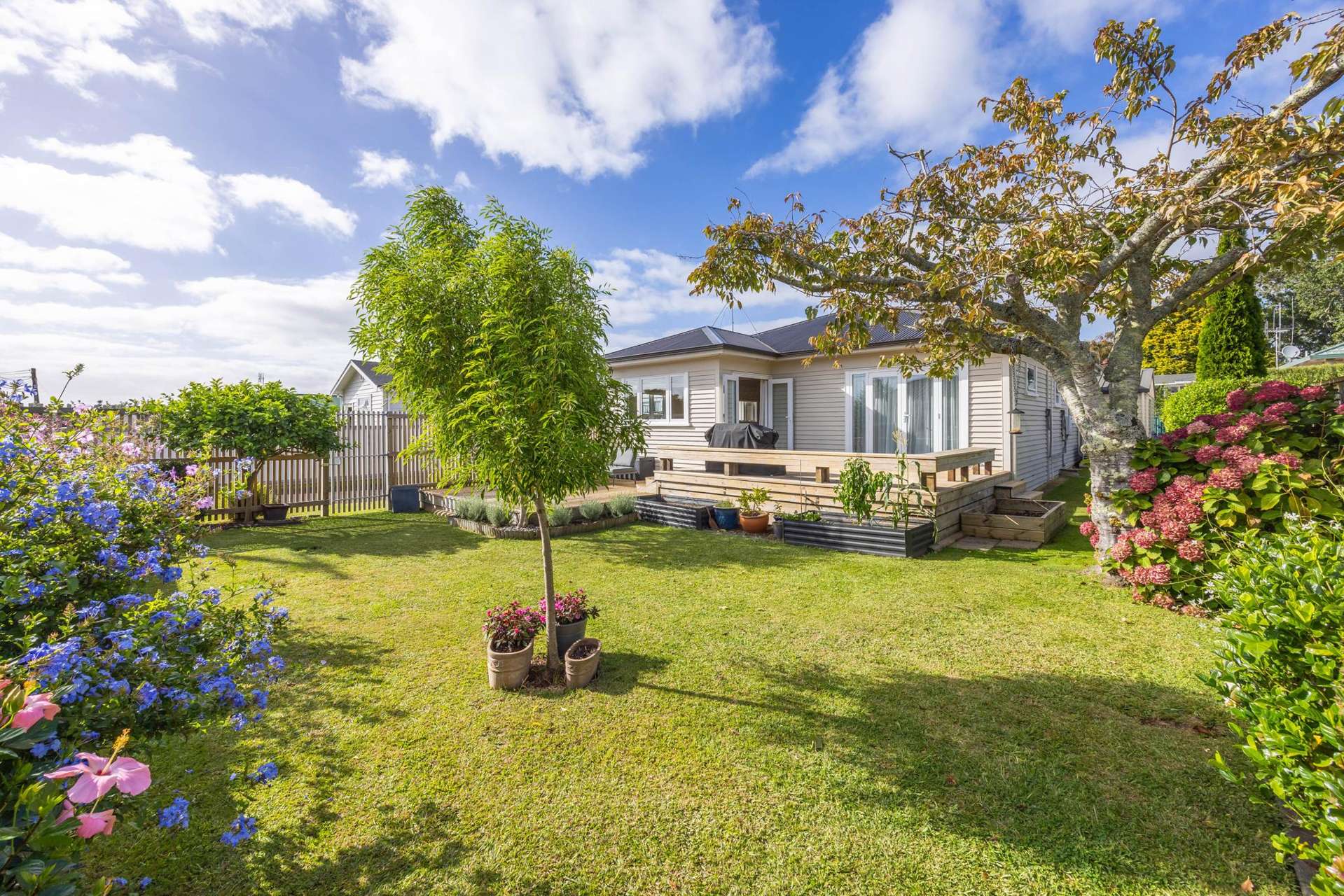 488 Mandeno Street Te Awamutu_0