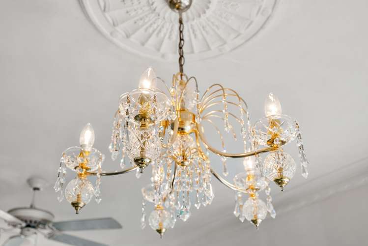 14A Mains Avenue Kensington_8