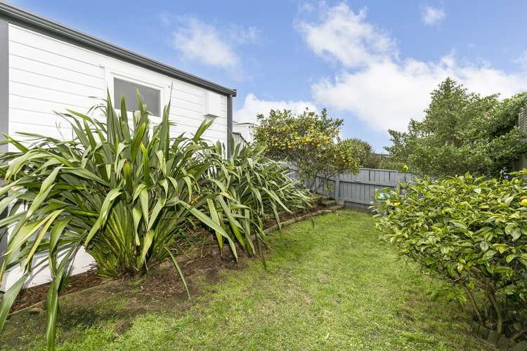 223 Rintoul Street Berhampore_14