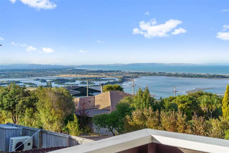 155 Major Hornbrook Road Mount Pleasant_11