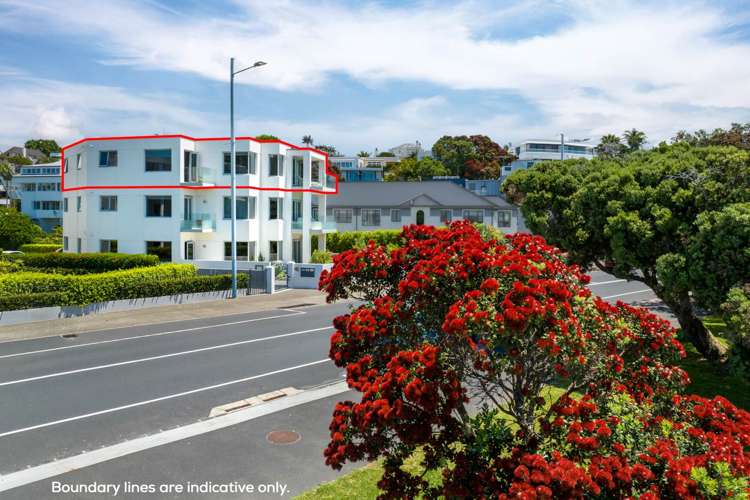 351C Tamaki Drive St Heliers_2