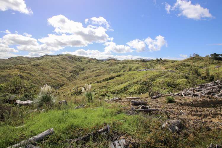 Broadwood Road Broadwood_7