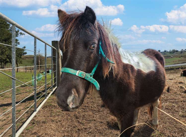 689 Glen Murray Road Rangiriri_40