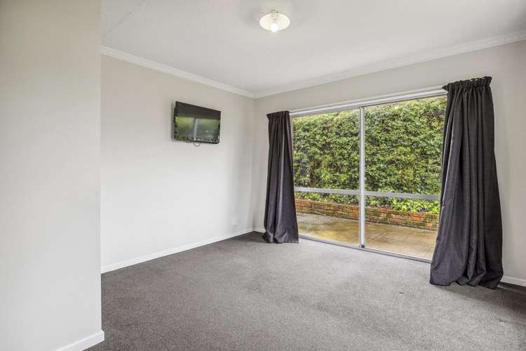 17a Buccleugh Street North East Valley_8