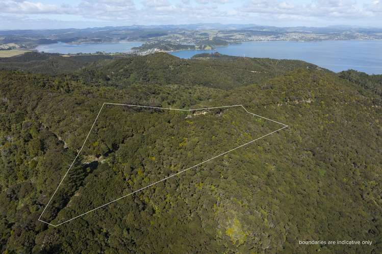 LOT 2 303 Waiaua Road Hihi_10