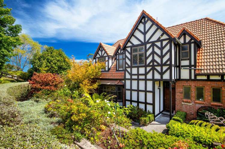 180 Ara-kotinga Whitford_19