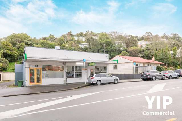 103 & 105 Newlands Road Newlands_3