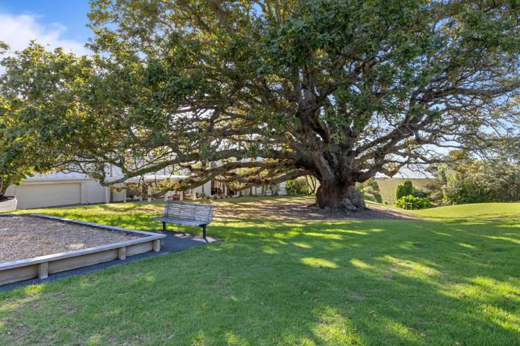 25 Oakpark Place West Harbour_21