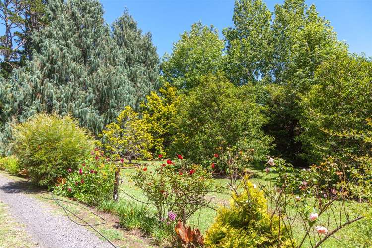 345 Hikuai Settlement Road Hikuai_22