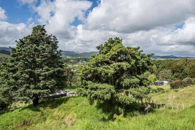 16 Nova Way Kauri_13