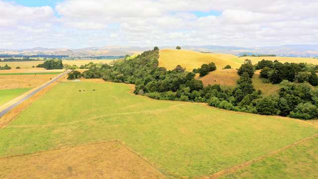 Kiritaki Road Dannevirke_2