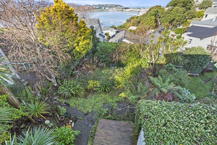 49 Matai Road Hataitai_6