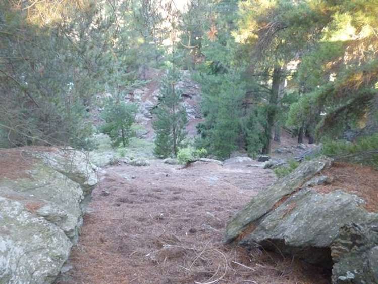 24 The Half Mile Alexandra_29