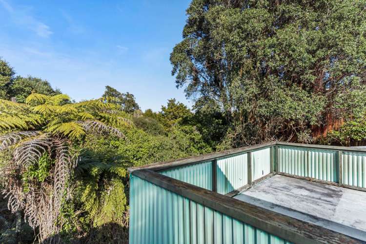 33 Bayfield Road Ponsonby_25