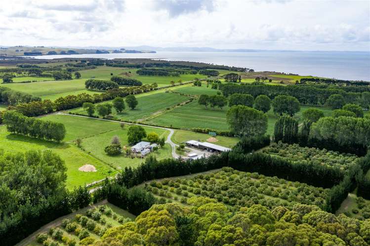 44 Te Ngaio Point Road Tapora_6