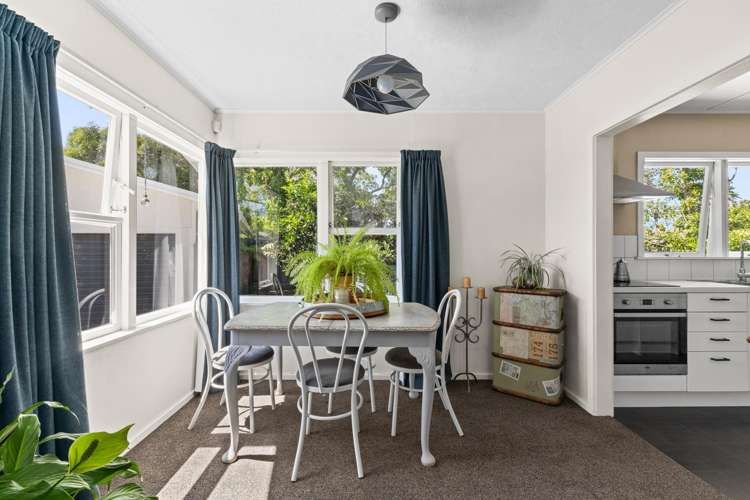 26 Salisbury Avenue Tamatea_2