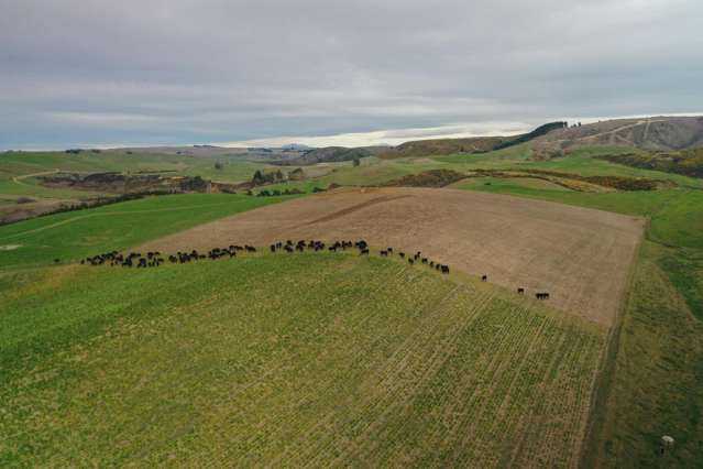 158 Kowhatu Road Waimate_2