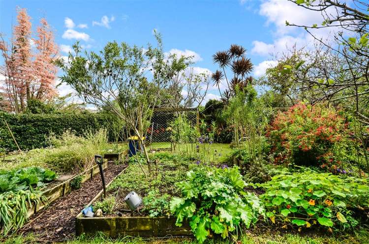 3 Springbank Lane Te Atatu Peninsula_11