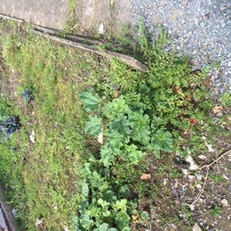 33 Station Street Tirau_82