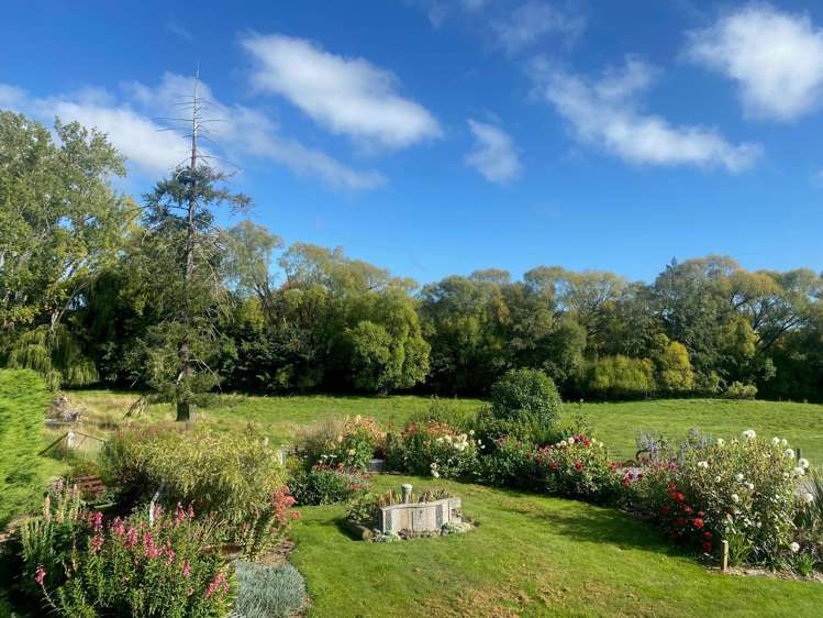 18 Carroll Street Cheviot_18