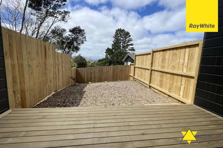  25/241 Don Buck Road Massey_9