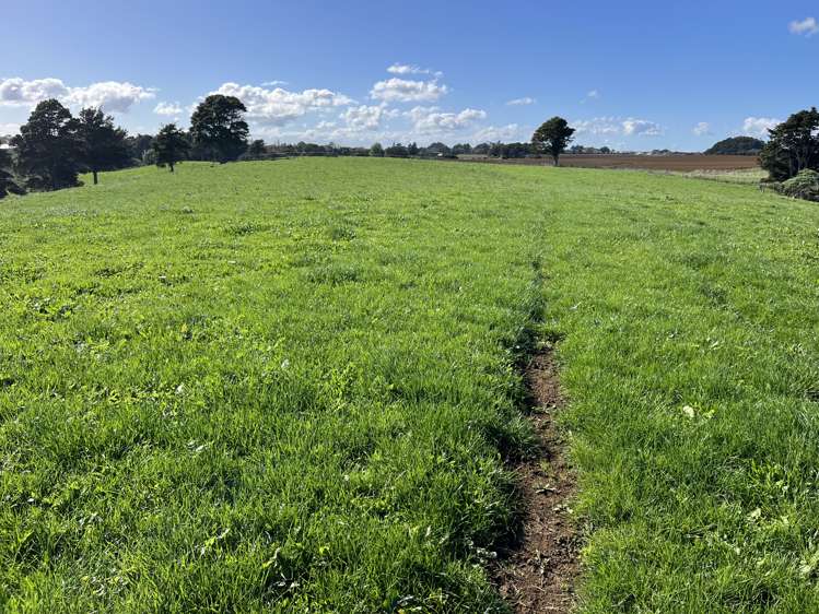 678 Waiuku Road Mauku_11