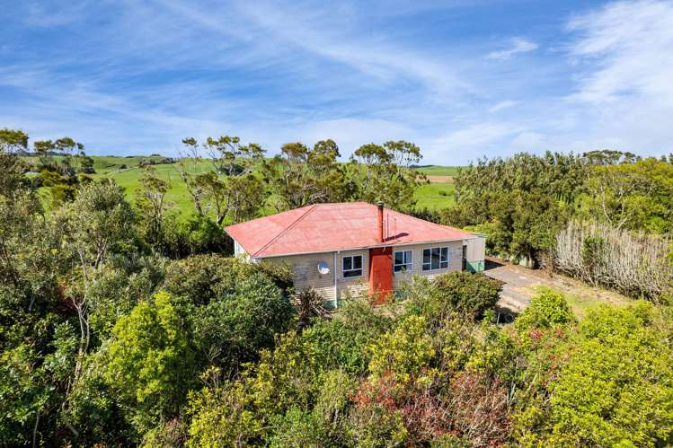 677 Newall Road Newall_16