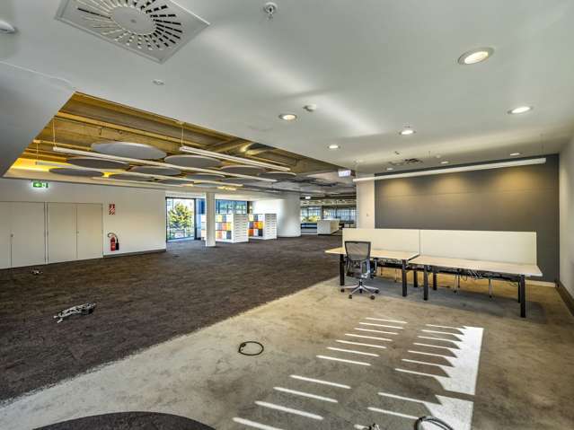 Suite 2.1/381 Great South Road Ellerslie_4