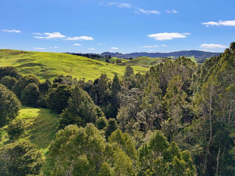 / Lot 12 Gorge Road Maungaturoto_12