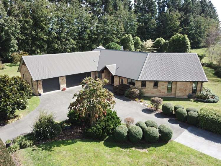 23 Trentham Road Matangi_32