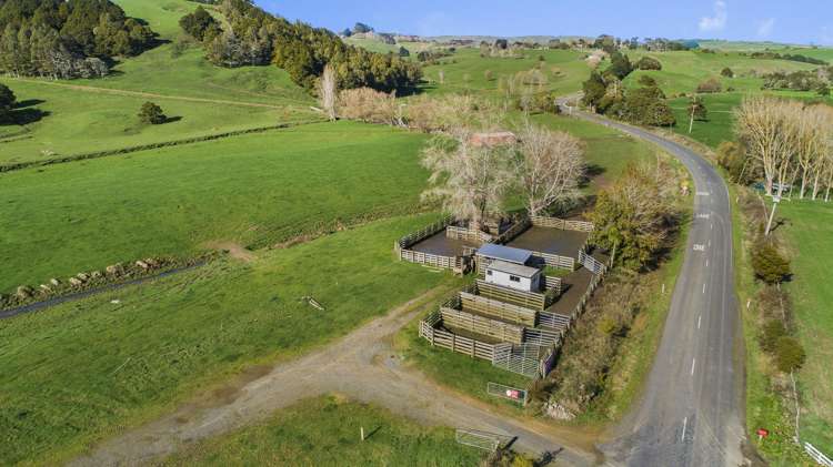 2192 Hetherington Road Ruawaro_11