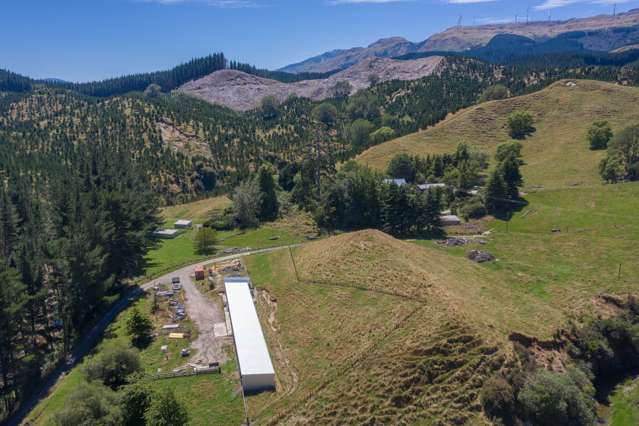 3866 Napier-Taupo Road Te Pohue_4