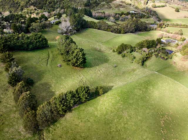 PAUATAHANUI - 2 HOMES ON 5.7769 HA - R.V $1.91M