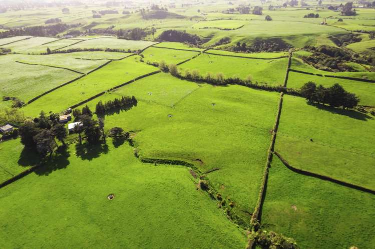 1061A Carrington Road Hurworth_3