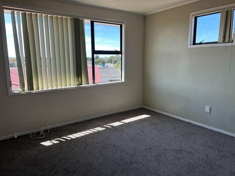 Matthews Road Flat Bush_16