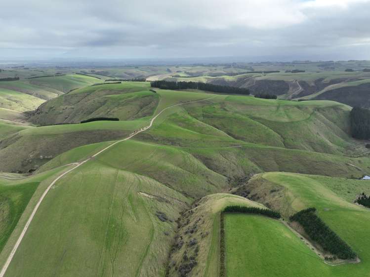 174 Mcculloch Road Balclutha_12