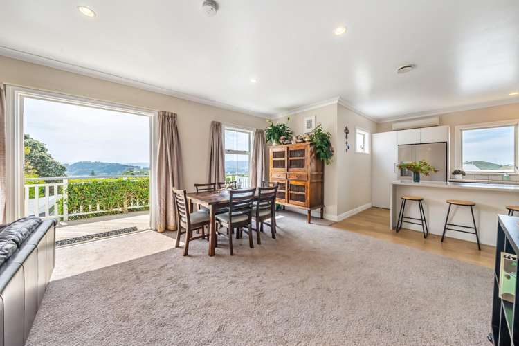 39A Mana Street Vogeltown_3