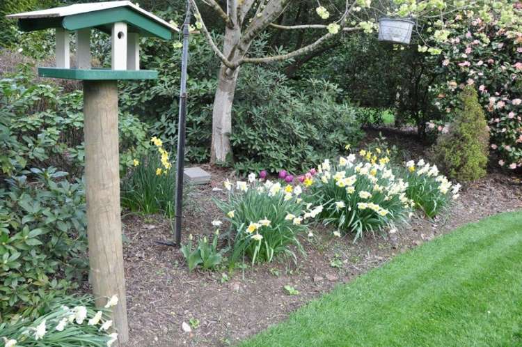 62 Rutland Street Riversdale_11