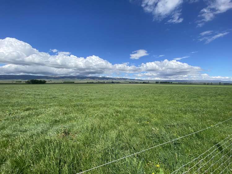 224 Auripo Road Poolburn_1