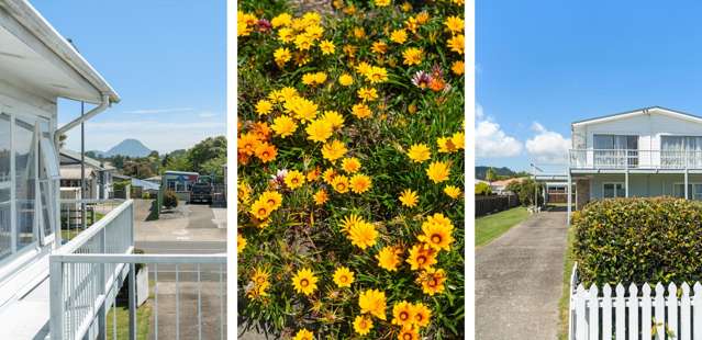 1 & 2/75 Domain Road Whakatane_4