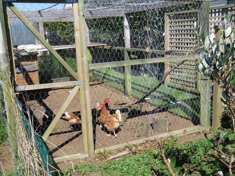 1001 Mangorei Road Mangorei_15