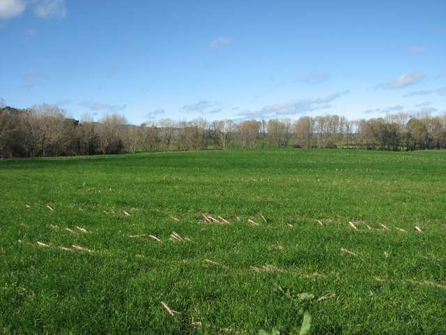 Smith Road Otorohanga_4