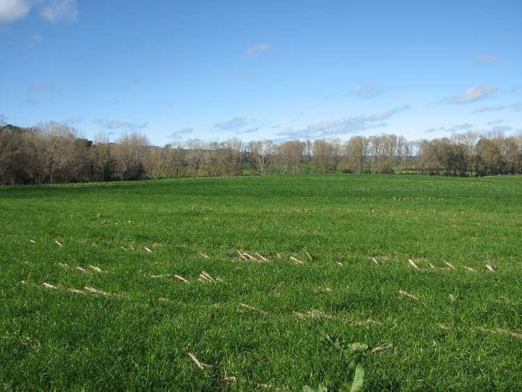 Smith Road Otorohanga_4