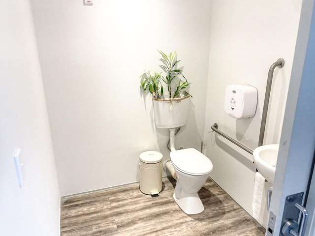 T9 | 4 Williamson Avenue Ponsonby_3