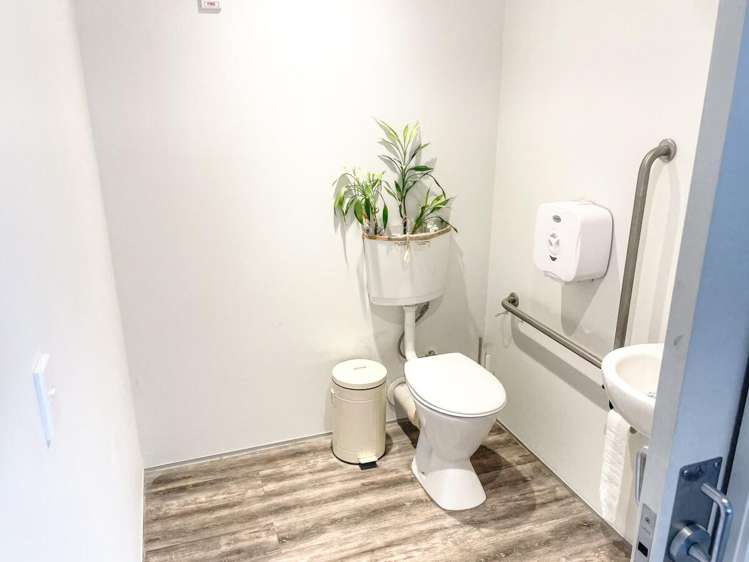 T9 | 4 Williamson Avenue Ponsonby_3