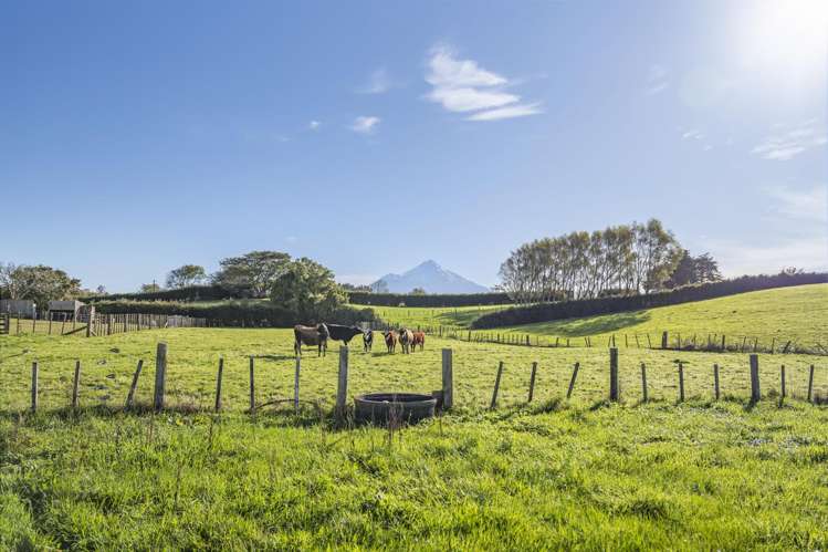 241 Warwick Road Stratford_8